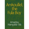 Amkoullel, the Fula Boy