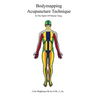Bodymapping Acupuncture Technique: In the Spirit of Master Tung