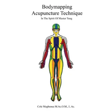 Bodymapping Acupuncture Technique: In the Spirit of Master Tung