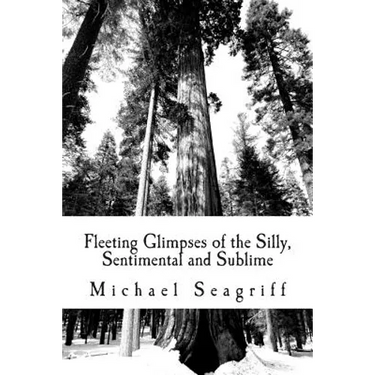 Fleeting Glimpses of the Silly, Sentimental and Sublime