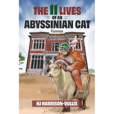The 11 Lives of an Abyssinian Cat: Flummox
