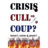 CRISIS, CULL or COUP? WHAT, HOW and WHO? Facts and Truths to Make You Think!: Exposing The Great Lie and the Truth About the Covid-19 Phenomenon.