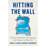 Hitting the Wall: Eliminate the Beliefs That Sabotage Your Business and Your Life