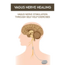 Vagus Nerve Healing: Vagus Nerve Stimulation Through Self Help Exercises: Vagus Nerve Branches