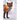 Fox: The Red Fox's Resourcefulness Has Earned It a Legendary Reputation for Intelligence and Cunning.