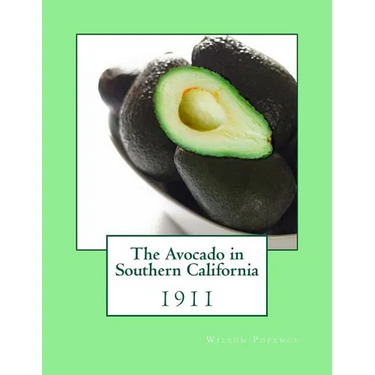 The Avocado in Southern California: 1911