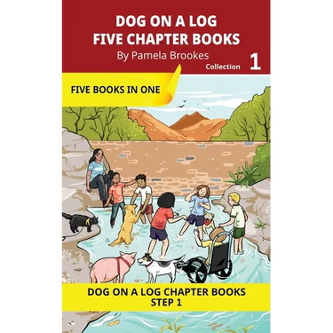 Five Chapter Books 1: Decodable Series for Students Learning to Read. For Beginning Readers and Students with Dyslexia. (Step 1-All Letters plus Conso