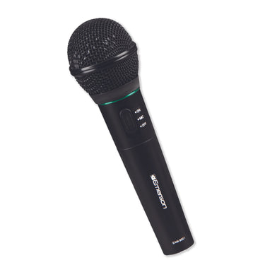 Professional Microphone Kit with Wireless Receiver