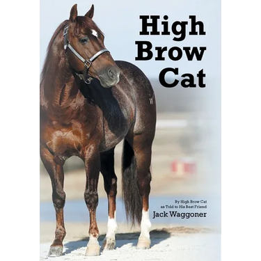 High Brow Cat