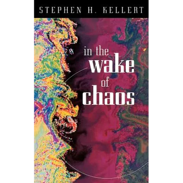 In the Wake of Chaos: Unpredictable Order in Dynamical Systems