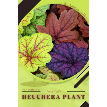 Heuchera Plant: Plant Guide
