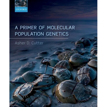 A Primer of Molecular Population Genetics