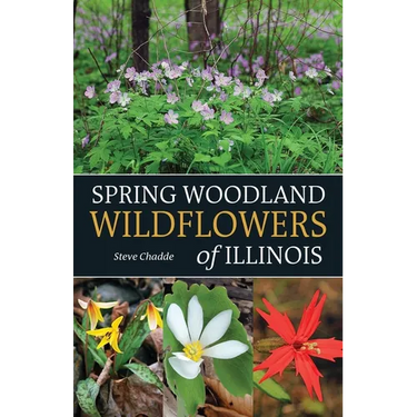 Spring Woodland Wildflowers of Illinois