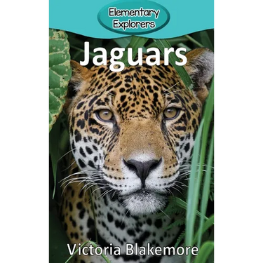 Jaguars