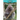 Porcupines