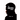 The Hidden Agent