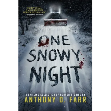 One Snowy Night