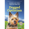 Dogged Optimism: Lessons in Joy from a Disaster-Prone Dog