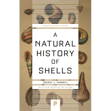 A Natural History of Shells