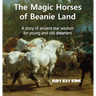 The Magic Horses of Beanie Land: A story of ancient star wisdom for young and old dreamers