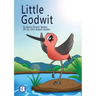 Little Godwit