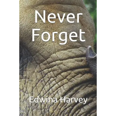 Never Forget: a novelette