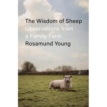 The Wisdom of Sheep: Observations from a Family Farm