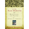 In the Bleak Midwinter: 40 Meditations and Prayers for Advent and Christmas