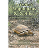 Arizona's Amphibians & Reptiles: A Natural History and Field Guide