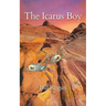 The Icarus Boy