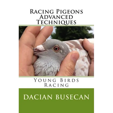 Racing Pigeons Advanced Techniques: Young Birds Racing