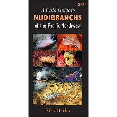 A Field Guide to Nudibranchs of the Pacific Northwest