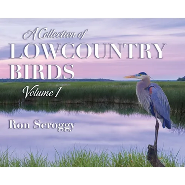 A Collection of Lowcountry Birds