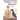 Fred & Marjorie: A Doctor, a Dog, and the Discovery of Insulin