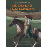 The Adventures of Mz. Grundy Z. Leatherberry: Book 2 The Adventure Continues