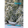 Stone Soup Magazine: December 2021