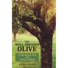 The Well Dressed Olive: A Trip Back in Time and Dreams Fulfilled