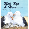 Red Eye and Hero: A Love Story