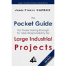 The Pocket Guide for Large Industrial Projects (for those Daring Enough to Take Responsibility for them)