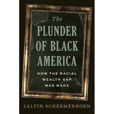 The Plunder of Black America: How the Racial Wealth Gap Was Made