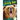 Grizzly Bear