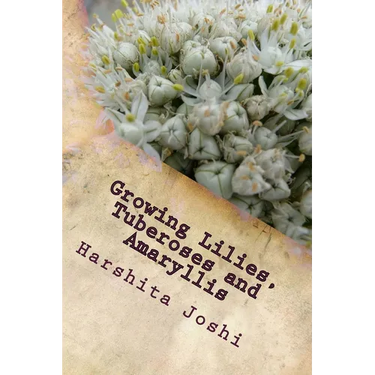 Growing Lilies, Tuberoses and Amaryllis