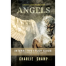 Angels Workbook: A Biblical School of Living Light