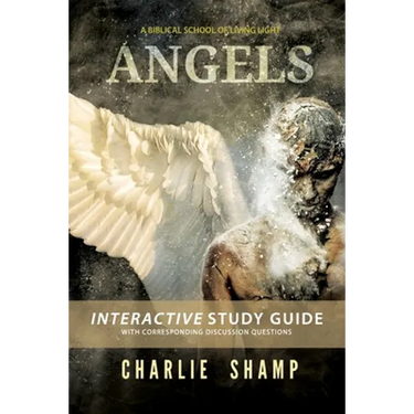 Angels Workbook: A Biblical School of Living Light