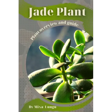 Jade Plant: Plant overview and guide