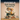 Adventures in God's Amazing Storybook 4