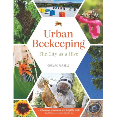 Urban Beekeeping: The City as a Hive