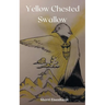 Yellow Chested Swallow
