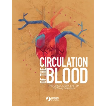 Circulation of the Blood: The circulatory system for Young Scientists