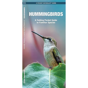 Hummingbirds, 3rd Ed: A Folding Pocket Guide to Familiar Species